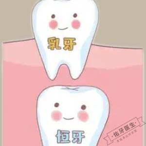 恒牙错位能归位吗？