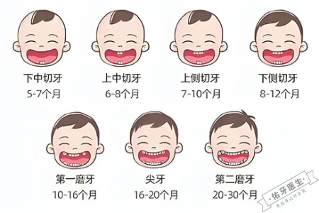 牙齿松动怎么办?