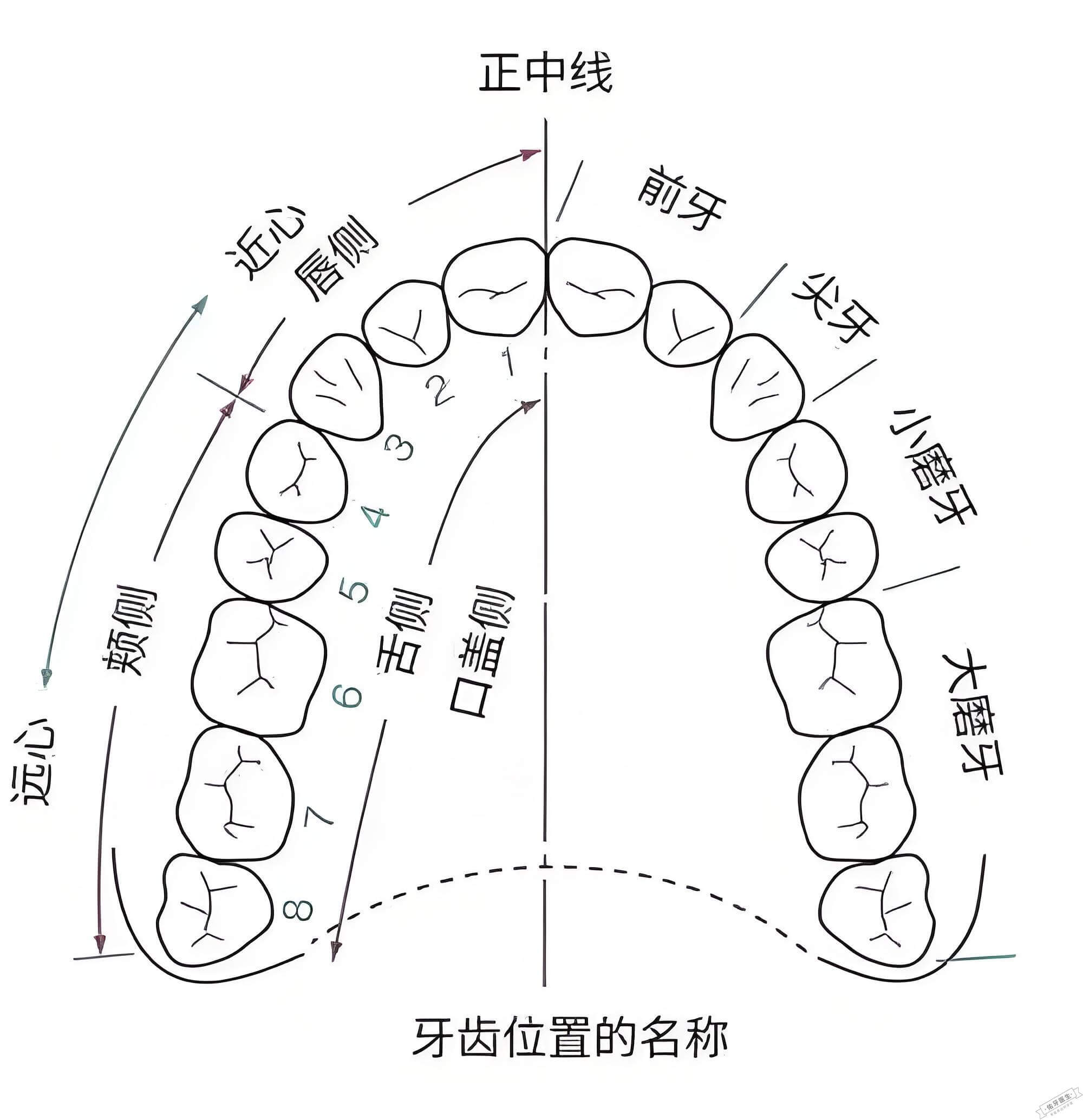 伏天2021时间表
